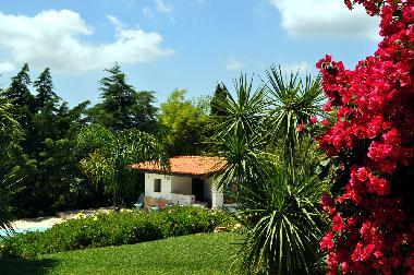 Villa in Barao de Sao Miguel (Algarve) oder Ferienwohnung oder Ferienhaus