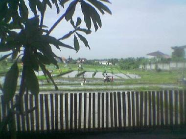 Ferienhaus in Kerobokan - Umalas (Bali) oder Ferienwohnung oder Ferienhaus