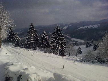 Ferienhaus in freconrupt (Bas-Rhin) oder Ferienwohnung oder Ferienhaus