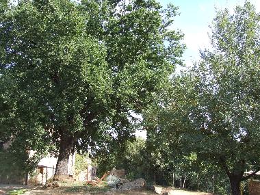 Ferienwohnung in Colle Val d