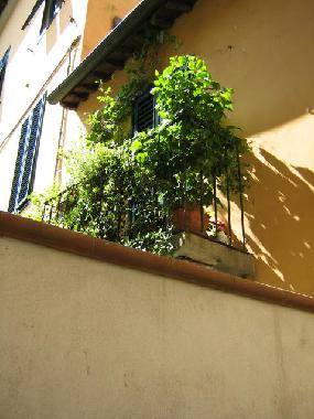 Ferienwohnung in Lucca (Lucca) oder Ferienwohnung oder Ferienhaus