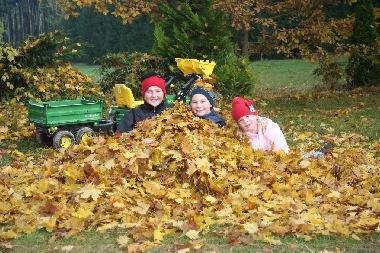 Der Herbst zieht ein 