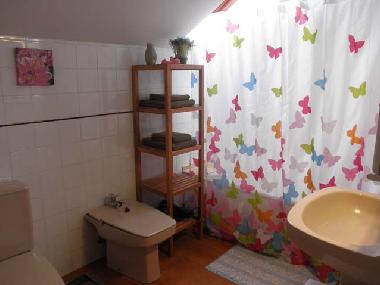 Ferienhaus in Luey - Val de San Vicente (Cantabria) oder Ferienwohnung oder Ferienhaus