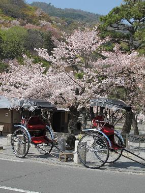 Ferienwohnung in kyoto-shi (Kyoto) oder Ferienwohnung oder Ferienhaus