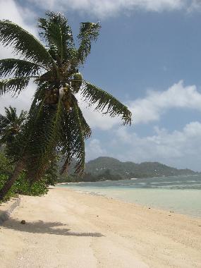 Ferienwohnung in Mahe (Anse Royale) oder Ferienwohnung oder Ferienhaus