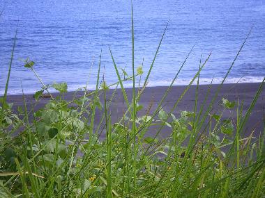 Villa in Tegal besar (Bali) oder Ferienwohnung oder Ferienhaus