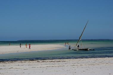 Ferienhaus in diani beach (Coast) oder Ferienwohnung oder Ferienhaus