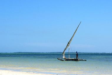 Ferienhaus in diani beach (Coast) oder Ferienwohnung oder Ferienhaus