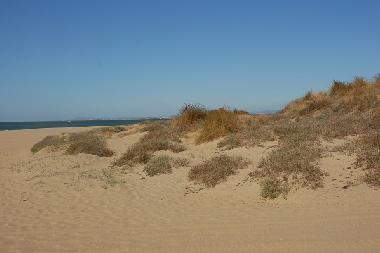 Ferienwohnung in AYAMONTE (Huelva) oder Ferienwohnung oder Ferienhaus