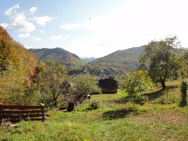 Ferienhaus in Rastolita  (Mures) oder Ferienwohnung oder Ferienhaus