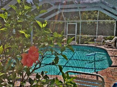 Oversized Pool mit Bromin-Anlage (fr Allergiker geeignet) und Screen