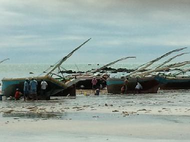 Ferienhaus in Icapui (Ceara) oder Ferienwohnung oder Ferienhaus