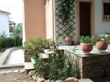 Ferienwohnung in Argalasti (Magnisia) oder Ferienwohnung oder Ferienhaus