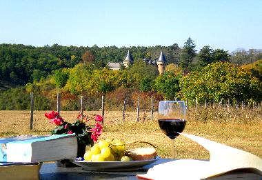 Ferienhaus in Rouffignac St Cernin (Dordogne) oder Ferienwohnung oder Ferienhaus