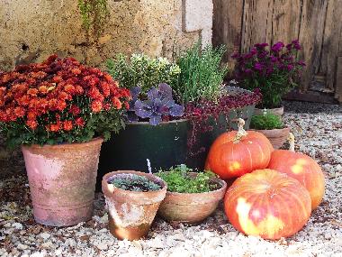 Ferienhaus in Rouffignac St Cernin (Dordogne) oder Ferienwohnung oder Ferienhaus