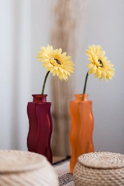 Ferienwohnung in Isafjordur (Isafjordur) oder Ferienwohnung oder Ferienhaus