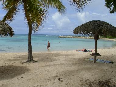 Ferienwohnung in SAINT RANCOIS (Guadeloupe) oder Ferienwohnung oder Ferienhaus