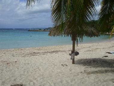 Ferienwohnung in SAINT RANCOIS (Guadeloupe) oder Ferienwohnung oder Ferienhaus