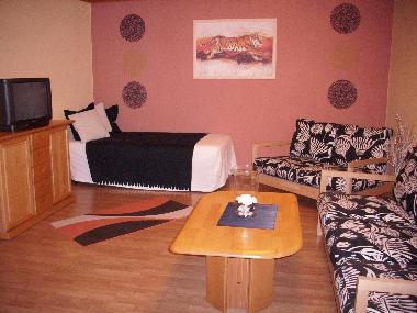Wohnzimmer mit Schlafgelegenheit f�r 1 Pers.