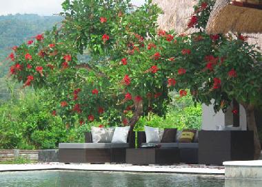 Villa in Dencarik (Bali) oder Ferienwohnung oder Ferienhaus