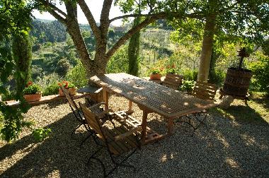 Sitzplatz unter dem Baum