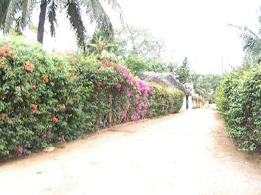 Ferienhaus in Diani (Coast) oder Ferienwohnung oder Ferienhaus