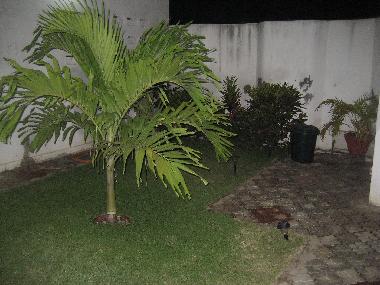 Ferienhaus in Lom� (Lome) oder Ferienwohnung oder Ferienhaus