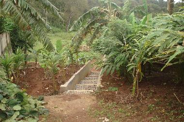 Ferienhaus in Vandanmedu (Kerala) oder Ferienwohnung oder Ferienhaus