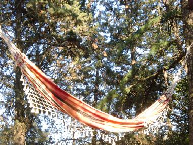 Ferienwohnung in Tuscania (Viterbo) oder Ferienwohnung oder Ferienhaus