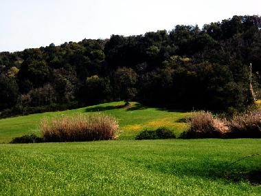 Ferienwohnung in Tuscania (Viterbo) oder Ferienwohnung oder Ferienhaus