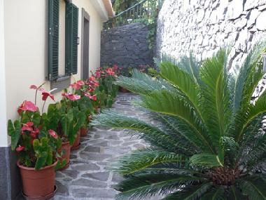 Ferienhaus in Calheta (Madeira) oder Ferienwohnung oder Ferienhaus