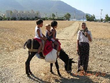 Ferienhaus in Mersin (= Icel) / Adana / Silifke / Yesilovacik (Icel) oder Ferienwohnung oder Ferienhaus
