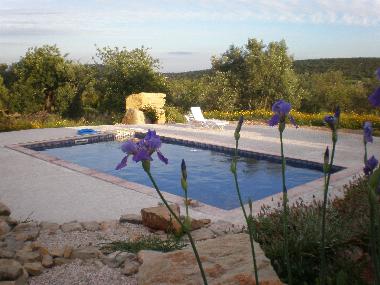 Villa in Moncarapacho (Algarve) oder Ferienwohnung oder Ferienhaus
