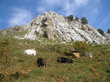 Ferienhaus in Potes-Li�bana (Cantabria) oder Ferienwohnung oder Ferienhaus