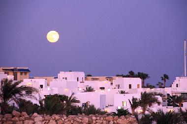 voll moon view in the night