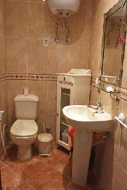 sencond bathroom with shower and toilet