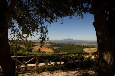 Ferienwohnung in Lugnano in Teverina (Terni) oder Ferienwohnung oder Ferienhaus
