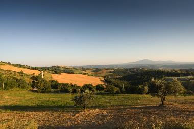 Ferienwohnung in Lugnano in Teverina (Terni) oder Ferienwohnung oder Ferienhaus
