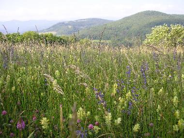 Ferienhaus in Sonnac Sur L