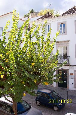 Ferienwohnung in Tavira (Algarve) oder Ferienwohnung oder Ferienhaus