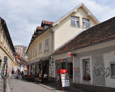 Ferienwohnung in Ljubljana (Ljubljana) oder Ferienwohnung oder Ferienhaus