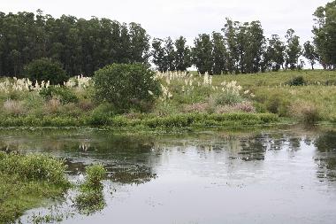 Chalet in Piedras de Afilar (Canelones) oder Ferienwohnung oder Ferienhaus