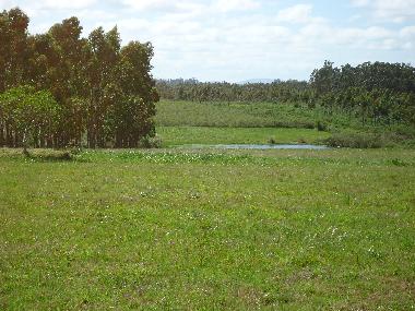 Chalet in Piedras de Afilar (Canelones) oder Ferienwohnung oder Ferienhaus