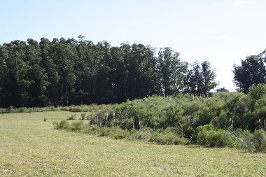 Chalet in Piedras de Afilar (Canelones) oder Ferienwohnung oder Ferienhaus