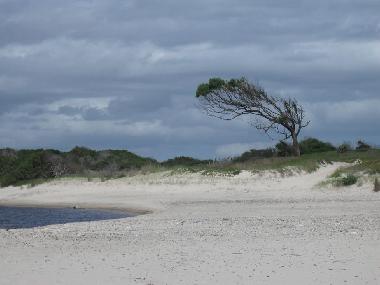 Chalet in Piedras de Afilar (Canelones) oder Ferienwohnung oder Ferienhaus