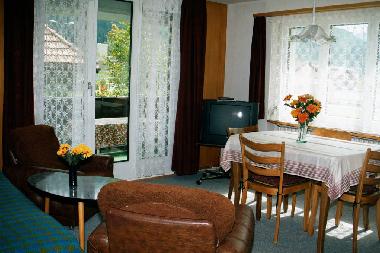 Wohnstube,Satelliten-Fernsehanlage