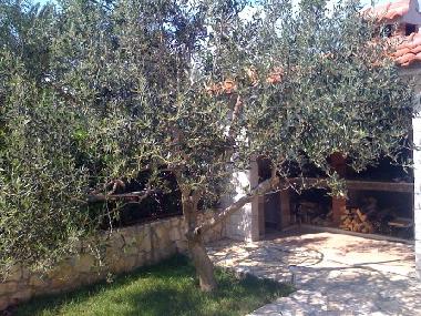Villa in Trogir-Slatine (Splitsko-Dalmatinska) oder Ferienwohnung oder Ferienhaus