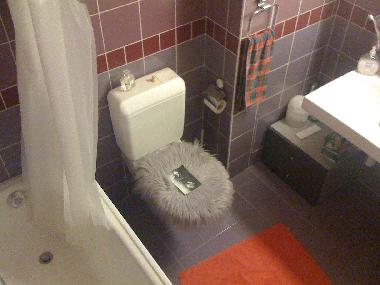 Ferienwohnung in Le Mont-P�lerin (Montreux-Vevey) oder Ferienwohnung oder Ferienhaus