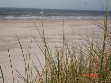 Ferienhaus in oksb�l (Sonderjylland) oder Ferienwohnung oder Ferienhaus