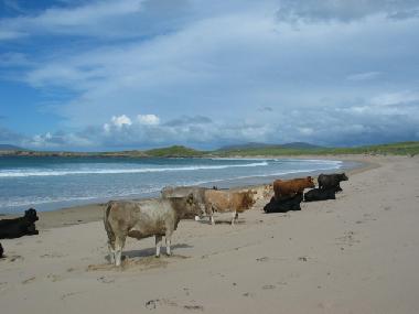 Ferienhaus in ANNAGRY (Donegal) oder Ferienwohnung oder Ferienhaus